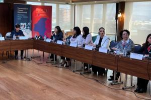 Participants at a workshop for law enforcement on gender-based violence held on 24 November 2022 in Skopje. (OSCE/Bjorn Tore Saltvik)