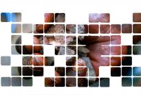 L’Electronic Industry Citizenship Coalition est une coalition sans but lucratif de plus de 110 entreprises de premier plan qui se sont données pour but de faire progresser la responsabilité sociale et environnementale...