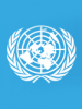 United Nations Peacemaker
