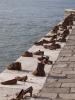Budapest Jewish World War II Memorial, shoes on river bank (Wikimedia)